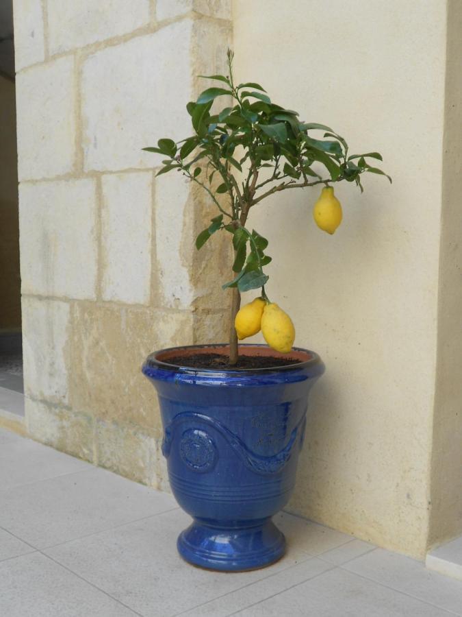 Sous Le Neflier Panzió Nîmes Kültér fotó